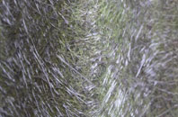 Charlesworth fibreglass roof work